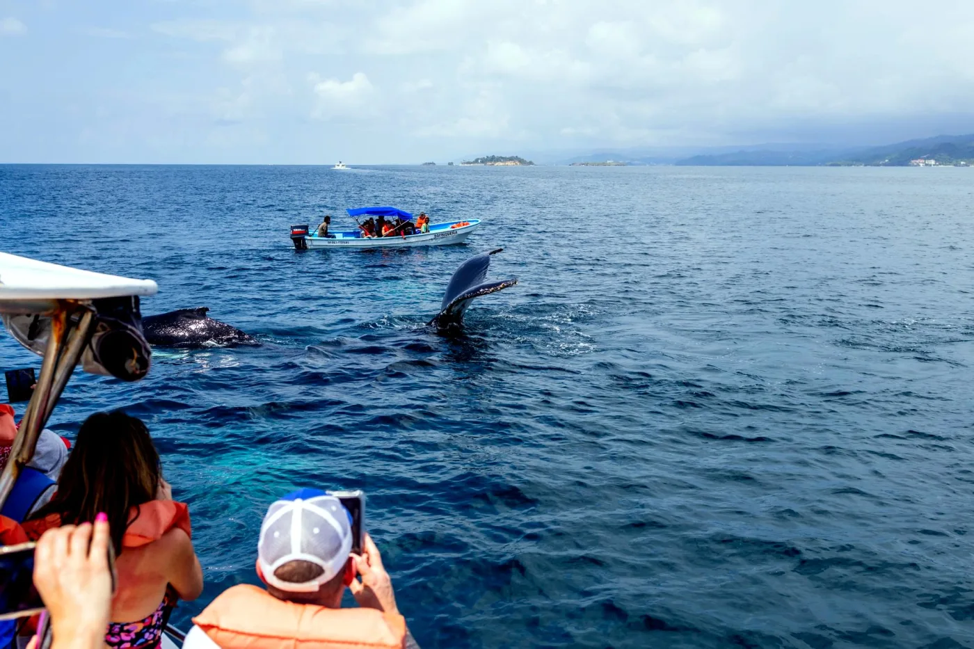 k queue de baleine hors de l'eau dans la baie de Samaná