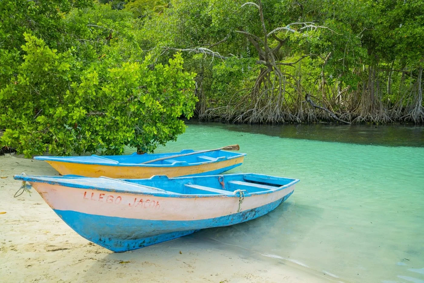 Playa Rincón, l'une des plus belles plages du monde, Samaná