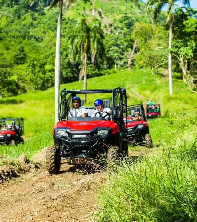 Combiné buggy + tyrolienne