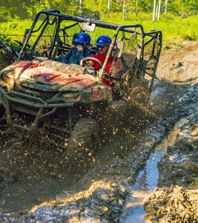 Combiné buggy + Monkey Land
