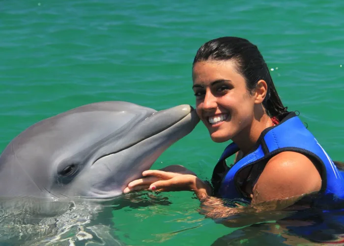 Dolphin Explorer Punta Cana