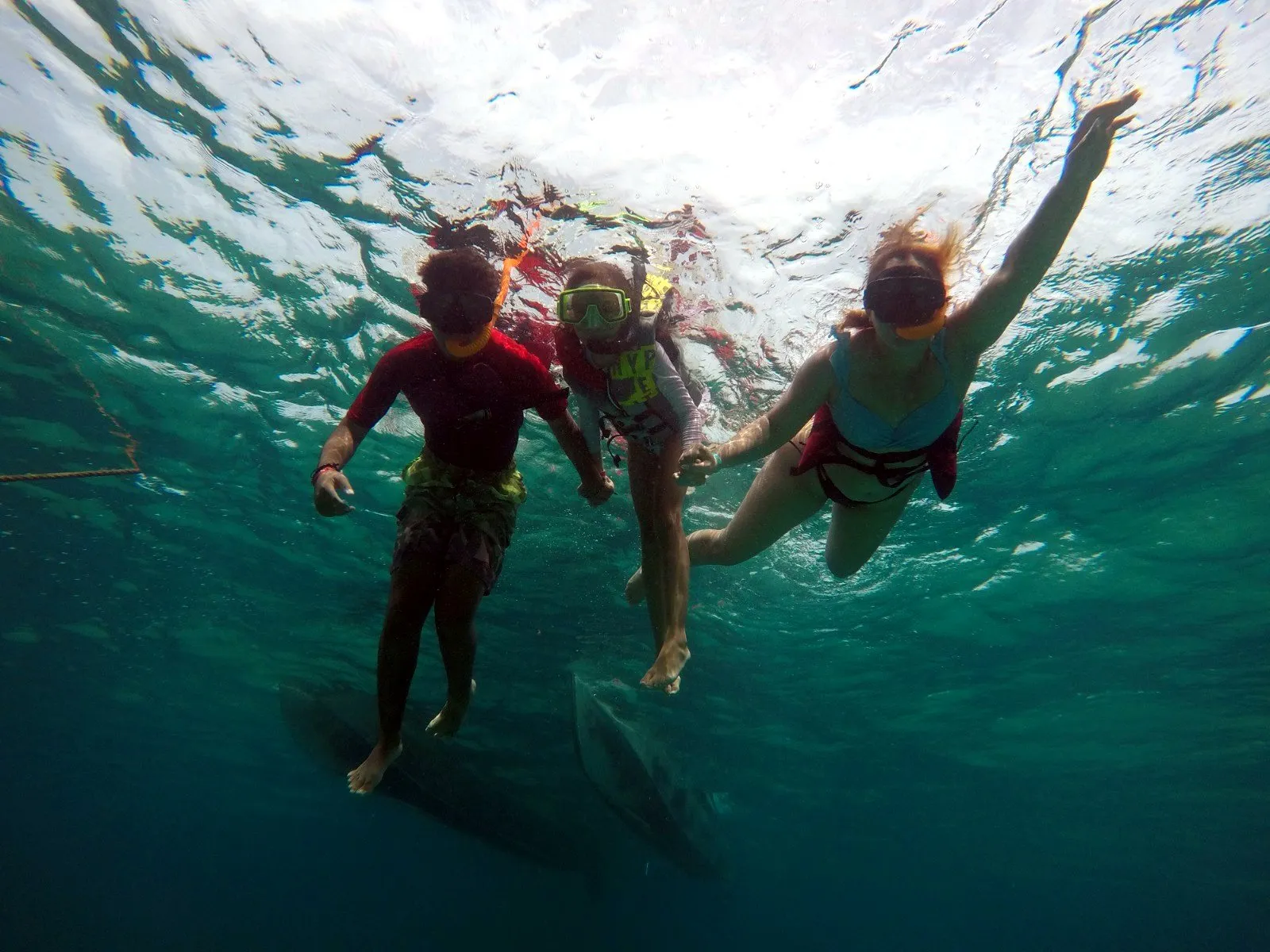 Glass-bottom boat viewing window over the reef, Punta Cana